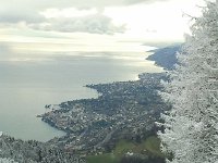 2014-02-02 16.46.09  While frosted at 1200m it was green near the edge of the lake